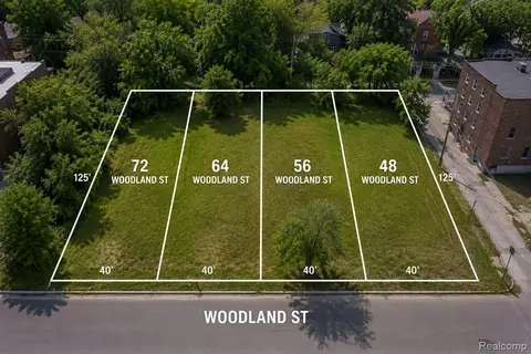64 Woodland St, Detroit, MI 48202