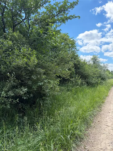 00 Murphy Lk, Rich, MI 48760
