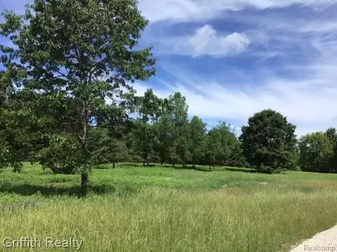 1 East Coon Lake Road, Genoa, MI 48843