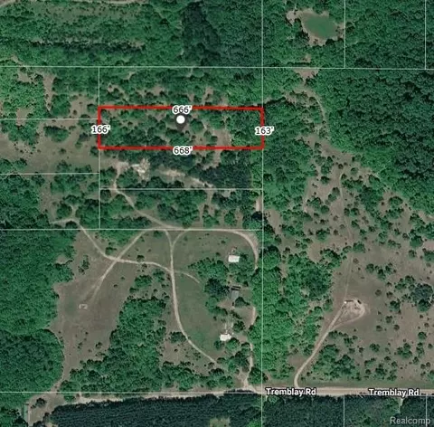 V/l Tremblay Road, Custer, MI 49659