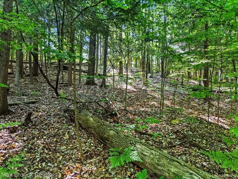 125 Legend Trl, Custer, MI 49615 photo 5