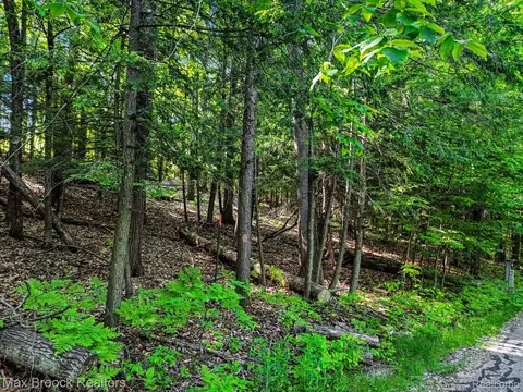 125 Legend Trl, Custer, MI 49615 photo 3