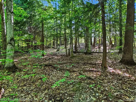 125 Legend Trl, Custer, MI 49615