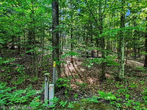 125 Legend Trl, Custer, MI 49615 photo 2