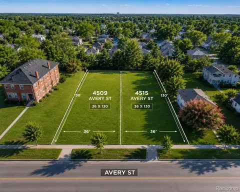 4509 Avery St, Detroit, MI 48208