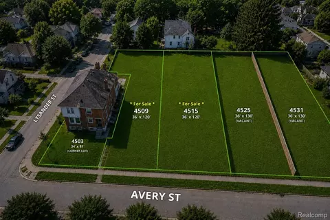 4515 Avery St, Detroit, MI 48208