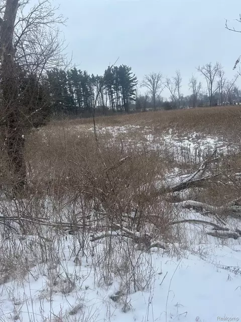 12840 Larkins Rd, Brighton, MI 48114 photo 2