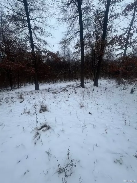 12840 Larkins Rd, Brighton, MI 48114 photo 3