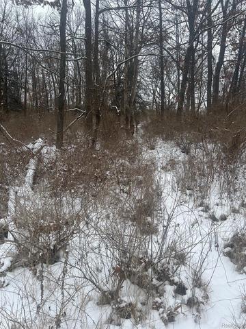 12840 Larkins Rd, Brighton, MI 48114