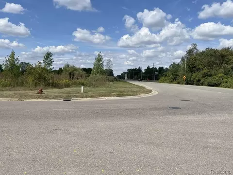 Vacant Land Grand River Avenue, Handy, MI 48836
