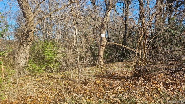 000 Hillpoint Dr, Hamburg, MI 48116