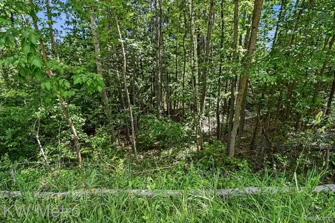 N/a Franklin Trail, Deep River, MI 48749 photo 6