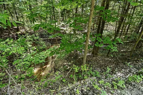 N/a Franklin Trail, Deep River, MI 48749 photo 5