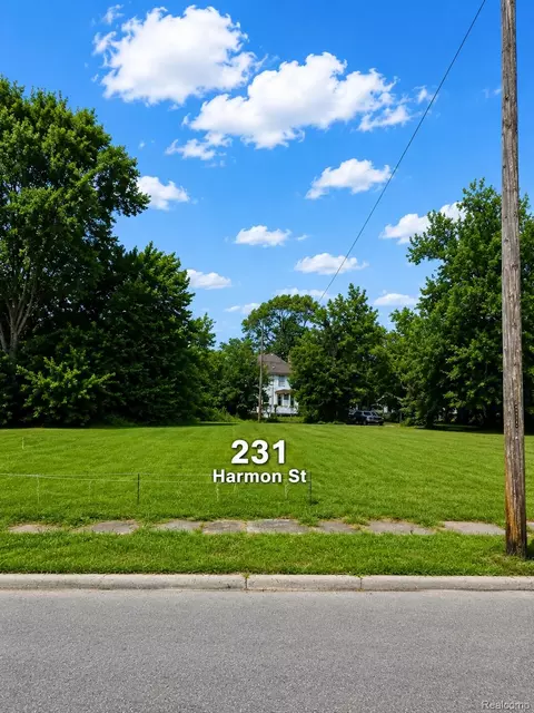 231 Harmon St, Detroit, MI 48202