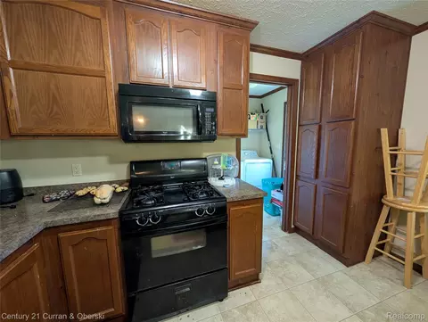 Other - 29319 Maple, Flat Rock, MI 48134 photo 3 of 11