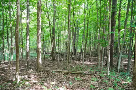 Other - 8294 Davison Rd, Davison, MI 48423 photo 8 of 9