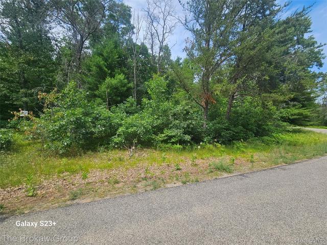 0 Acorn Ln, Roscommon, MI 48629