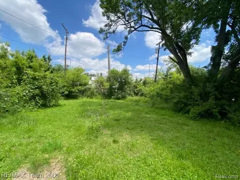 Other - 58250 Main St, New Haven, MI 48048 photo 7 of 12
