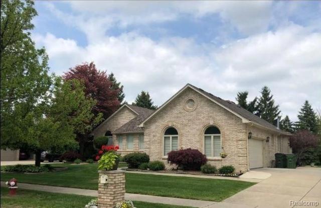 48428 Estera Dr, Shelby Township, MI 48315