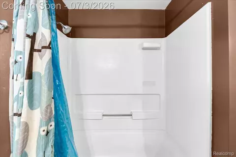 Bath - 6514 Luanne Dr, Mount Morris, MI 48433 photo 3 of 4