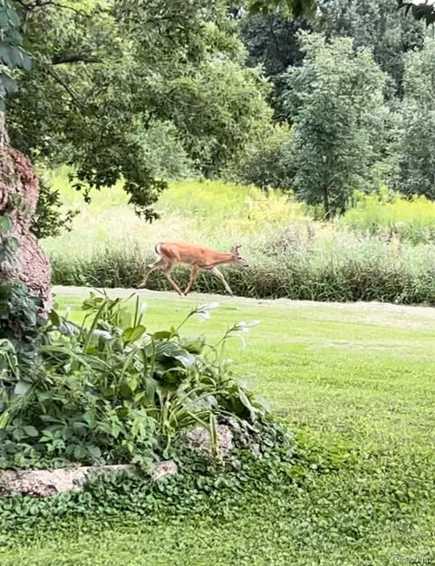 Other - 1285 S Cummings Rd, Davison, MI 48423 photo 9 of 21