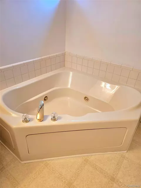Bath - 450 Lilly View Court Ct, Genoa, MI 48843 photo 4 of 6