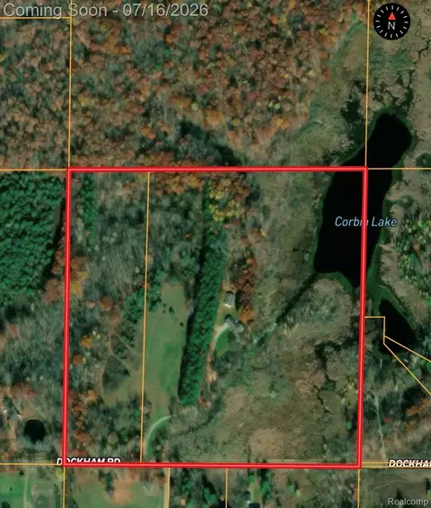 355 Dockham Rd, Deerfield, MI 48421