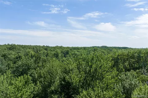 000 Applegate Rd, Washington, MI 48401 photo 15