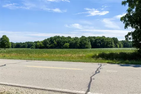 000 Applegate Rd, Washington, MI 48401 photo 4