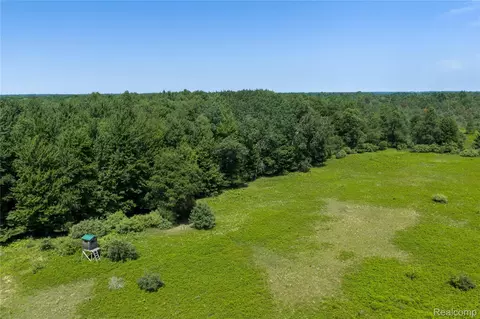 000 Applegate Rd, Washington, MI 48401 photo 9