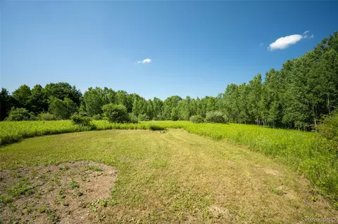 00 Hagerman Rd, Addison, MI 48367 photo 3