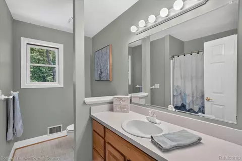Bath - 3217 Pineview Trl, Genoa, MI 48843 photo 5 of 7