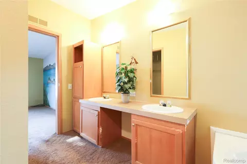 Bath - 3423 Green Apple Ct, Ash, MI 48117 photo 2 of 4
