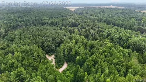Other - 4915 Anglers Ln, Sage, MI 48624 photo 19 of 21