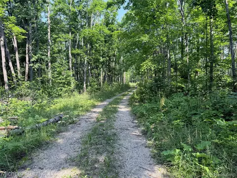 Vl Mckee Road, Vienna, MI 49751