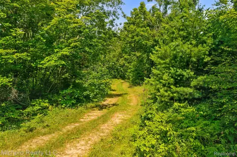 Vl Mckee Road, Vienna, MI 49751