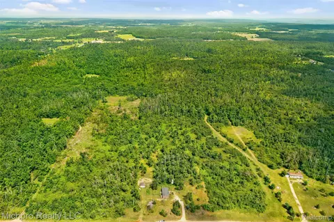 Vl Mckee Road, Vienna, MI 49751