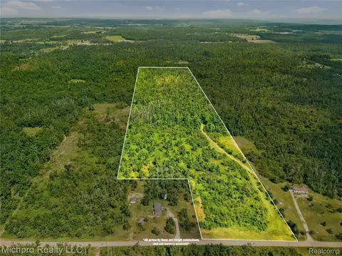 Vl Mckee Road, Vienna, MI 49751