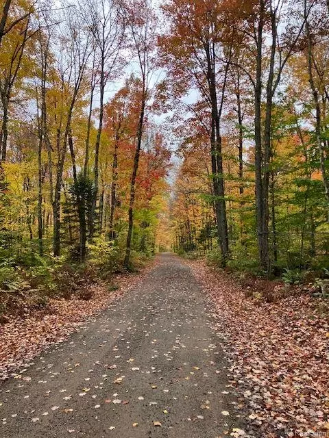 Other - 3395 Raspberry Ln, Munising, MI 49862 photo 18 of 18