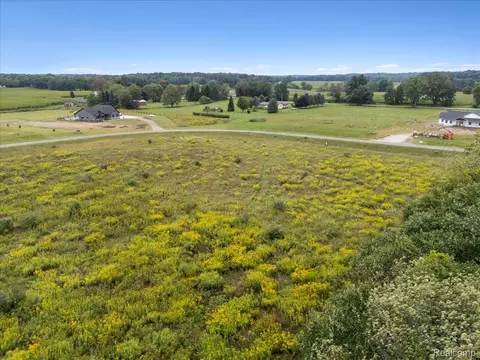 11 Gregory Rdg, Unadilla, MI 48137 photo 13
