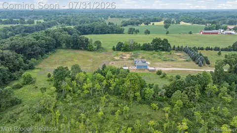 View/Area - 11141 Hannewald Rd, Waterloo, MI 49259 photo 13 of 16