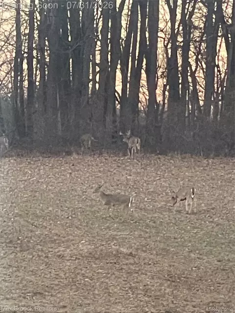Other - 11141 Hannewald Rd, Waterloo, MI 49259 photo 27 of 30
