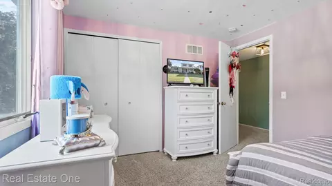 Other - 20272 Wellesley St, Riverview, MI 48193 photo 8 of 16