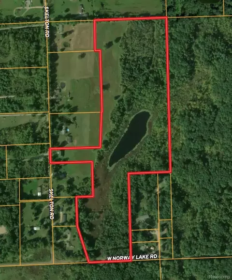 Vl Skelton Road, Deerfield, MI 48421