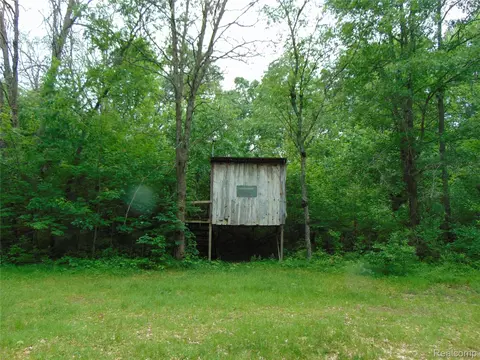 Other - 5055 Adams Rd, Sherman, MI 48624 photo 4 of 10