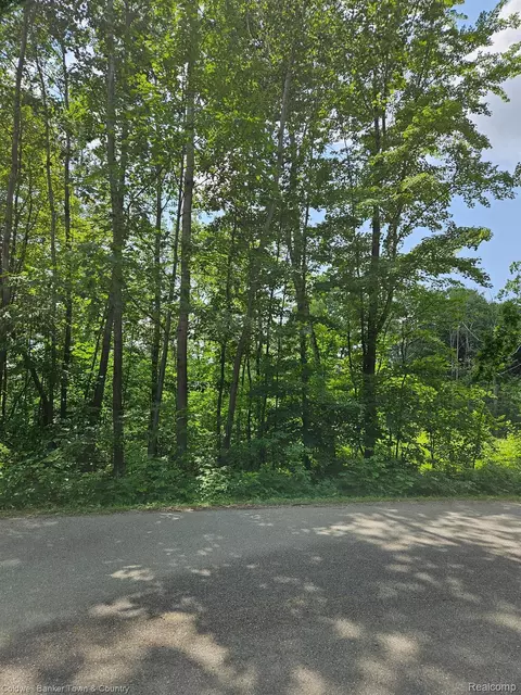 Vl Lakeside, Plainfield, MI 47839 photo 2