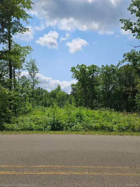 Vl Lakeside, Plainfield, MI 47839 photo 6