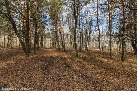 Other - 7699 Minnick Rd, Rubicon, MI 48441 photo 14 of 19