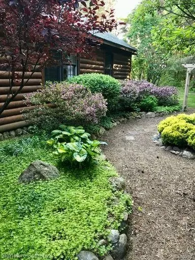 Exterior - 7699 Minnick Rd, Rubicon, MI 48441 photo 20 of 20
