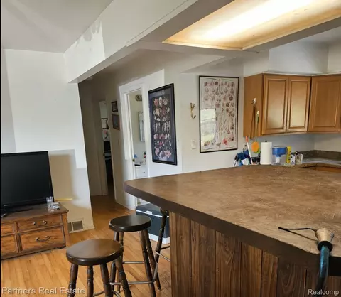 Other - 1382 Lucy Rd, Marion, MI 48843 photo 3 of 9
